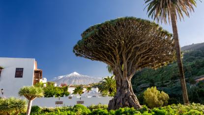 Sejur Tenerife - Spania | 8 zile - Avion