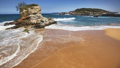 senior holidays tara bascilor